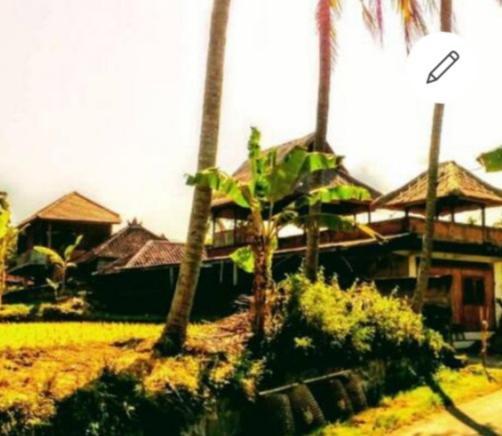 Pondok Diana Arta Jasri Ngoại thất bức ảnh
