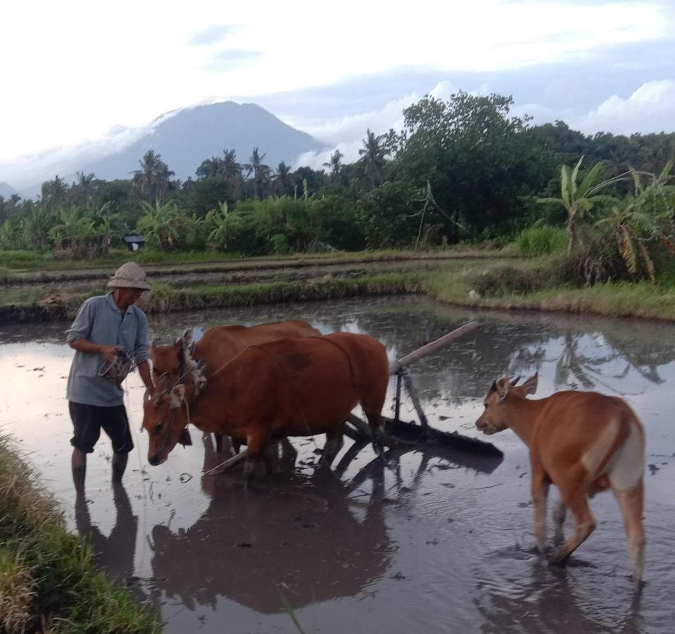 Pondok Diana Arta Jasri Phòng bức ảnh